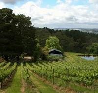 Arranmore Wines - Accommodation Perth