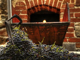 Rockford Wines - Accommodation Perth 2