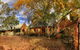 Rockford Wines - thumb 1