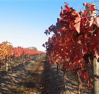 Kooyonga Creek Wines - Accommodation Perth