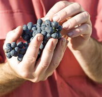 Brown Magpie Wines - Accommodation Perth