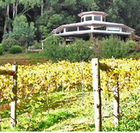 Peveril Vineyard/Beechy Berries - Accommodation Perth