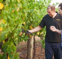 Fratin Brothers Vineyard - Accommodation Perth