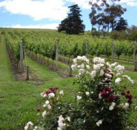Pembroke Estate Vineyard - Accommodation Perth
