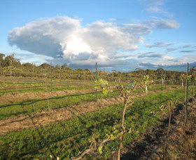 Flyfaire Wines - Accommodation Perth 7