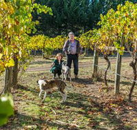 Little River Wines of Taggerty - Accommodation Perth