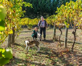 Little River Wines Of Taggerty - Accommodation Perth 0