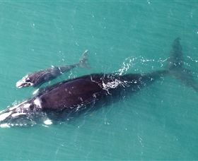 Fazshot Photography - Accommodation Perth 0