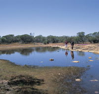 Camel Soak - Accommodation Perth