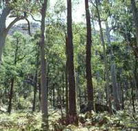 Cathedral Range State Park - Accommodation Perth