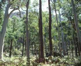 Cathedral Range State Park - Accommodation Perth 0