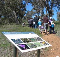 South Gundagai Woodlands Walk - Accommodation Perth