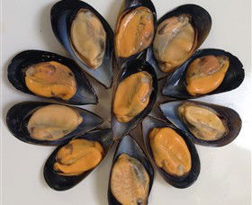 Advance Mussel Supply - Perth Resorts 3