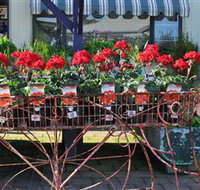 Van Loon's Nursery - Accommodation Perth