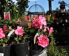 Van Loon's Nursery - Perth Resorts 1