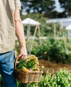 Kiltynane Wines - Accommodation Perth 6