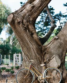 Kiltynane Wines - Accommodation Perth 8