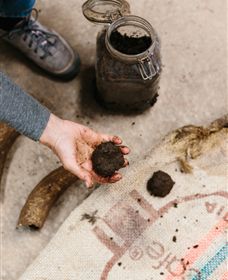 Kiltynane Wines - Accommodation Perth 7