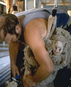 Kuriong Sheep Station - Accommodation Perth 0