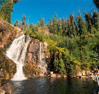 Steavenson Falls Marysville - Accommodation Perth