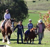 Bathurst Farm Experience - Accommodation Perth