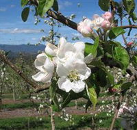 Mouat's Farm - Accommodation Perth