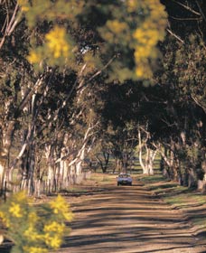 Albert Facey Heritage Trail - Perth Resorts 0