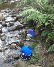 Shelley Forest Camp - Perth Resorts 2