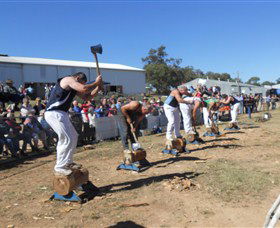Quirindi Rural Heritage Village - Accommodation Perth 1