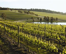 Yabby Lake Vineyard & Cellar Door - Accommodation Perth 7