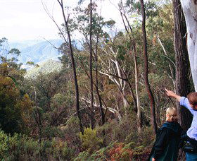 Hume And Hovell Walking Track - Accommodation Perth 5