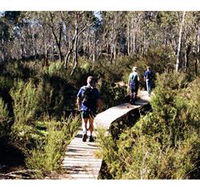 Hume and Hovell Walking Track - Henry Angel Trackhead - Accommodation Perth