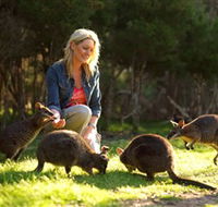Moonlit Sanctuary Wildlife Conservation Park - Accommodation Perth