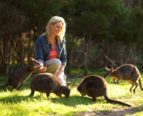 Moonlit Sanctuary Wildlife Conservation Park - Accommodation Perth 0