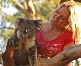 Moonlit Sanctuary Wildlife Conservation Park - Accommodation Perth 5