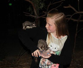 Moonlit Sanctuary Wildlife Conservation Park - Accommodation Perth 6