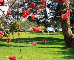 The Yass Golf Club - Accommodation Perth 0