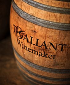 T'Gallant Winemakers - Accommodation Perth 0
