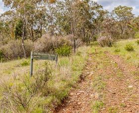 Old Mountain Road Walking Track - Accommodation Perth 0