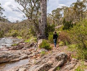 Old Mountain Road Walking Track - Accommodation Perth 2