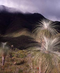 Bluff Knoll, Stirling Range National Park - Perth Resorts 3