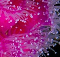Yaringa Marine National Park - Accommodation Perth