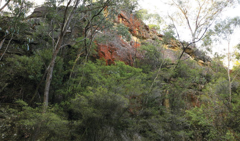 Good Forest NSW Accommodation Perth