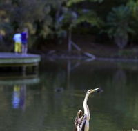 Birdwatching in the South Burnett - Accommodation Perth