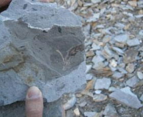 Fossil Rock - Accommodation Perth 1