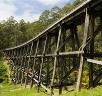 Noojee Trestle Bridge - Perth Resorts