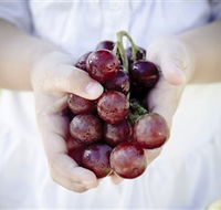 Granitevale  Estate Winery - Accommodation Perth