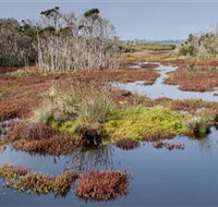 French Island National Park - Accommodation Perth