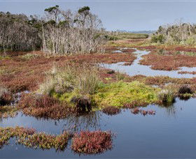 French Island National Park - Accommodation Perth 0