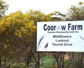 Coorow Farm Wildflower Trail - Accommodation Perth 0
